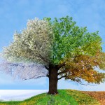 Overcoming Seasons of Confusion Feeling a bit confused?