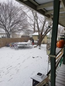 Snowmageddon 2021-winter to remember